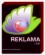 Reklama Link